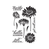 CL776 Hello Sunshine Daisies