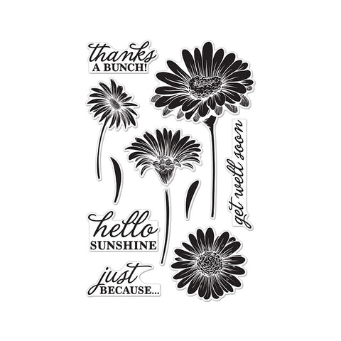 CL776 Hello Sunshine Daisies