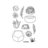 CL839 STAMP YOUR OWN SUCCULENTS