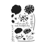 CM144 Color Layering Poppy