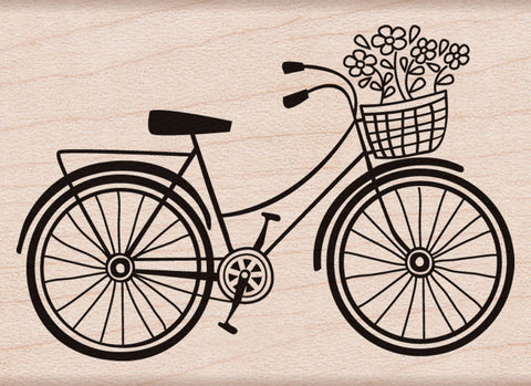 F5293 BICYCLE