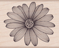 F5741 ETCHED DAISY