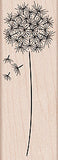 G4917 DANDELION
