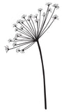 G5311 SILHOUETTE SPRAY