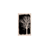 G5838 Over Exposed Tree