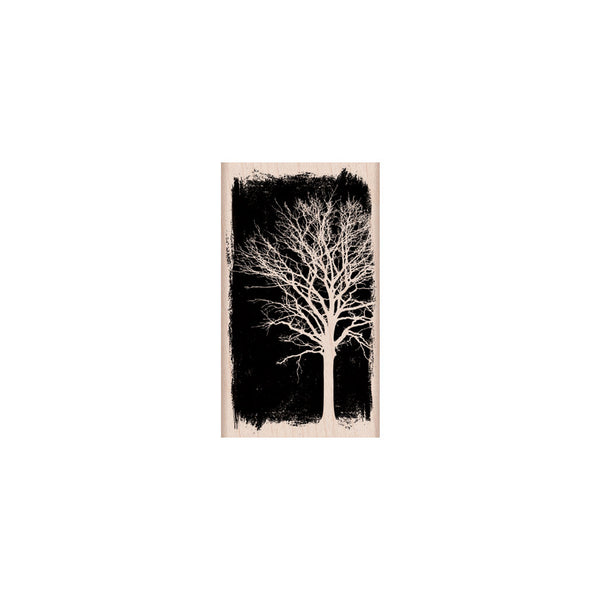 G5838 Over Exposed Tree