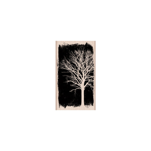 G5838 Over Exposed Tree