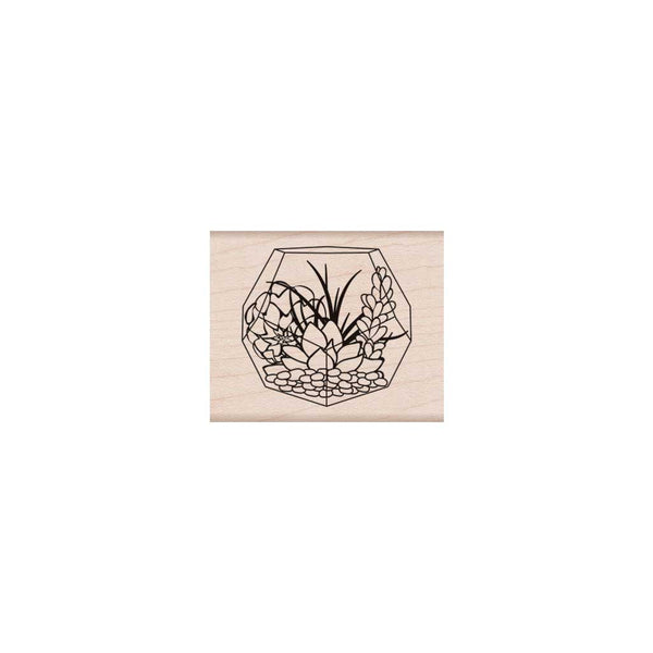 G6226 Succulent Terrarium