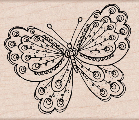H5426 ARTIST'S BUTTERFLY