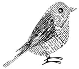 H5580 NEWSPRINT BIRD