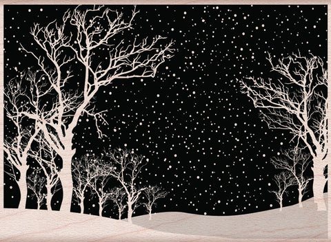 H5831 SNOWY NIGHT