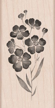 H5935 Flowers on a Stem