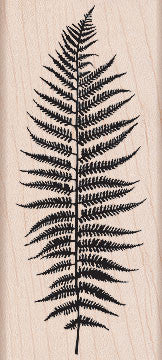 K5314 SILHOUETTE FERN