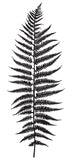 K5314 SILHOUETTE FERN