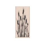 K5517 Tall Wheat
