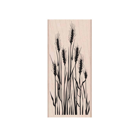 K5517 Tall Wheat