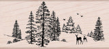 K5524 WINTER SCENE
