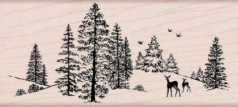 K5524 WINTER SCENE