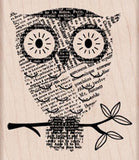 K5574 BIG EYES