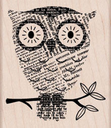 K5574 BIG EYES