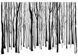 K5814 WINTER TREES PATTERN