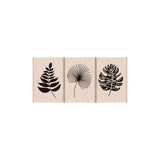 LP411 Tropical Leaves