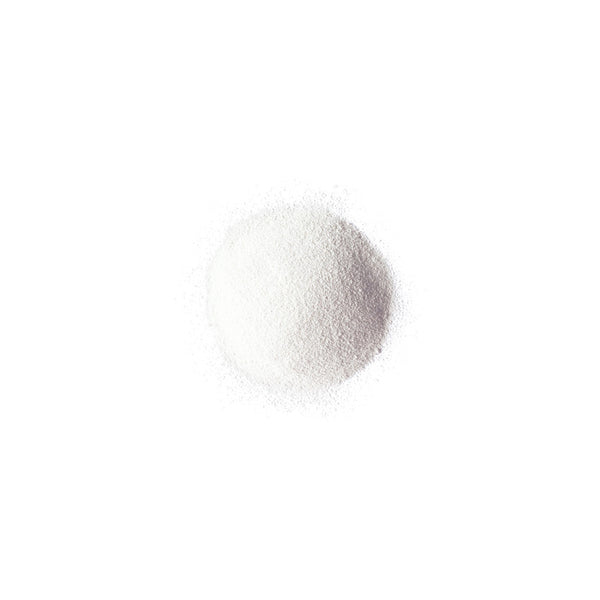 PW110 EMBOSSING POWDER - WHITE