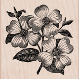 S5362 DOGWOOD