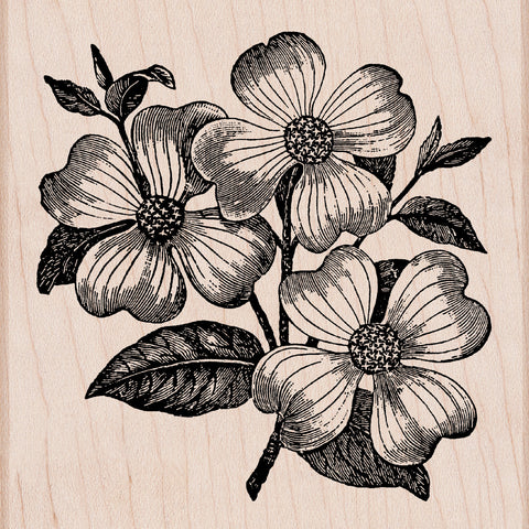 S5362 DOGWOOD