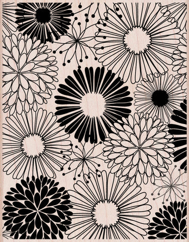 S5638 EVERYTHING FLOWER