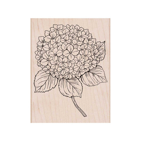 S6213 Large Hydrangea