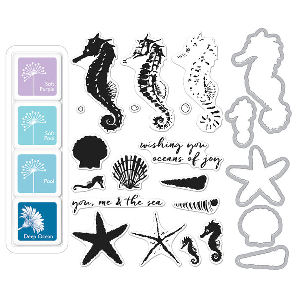 SB110 Color Layering Seahorse Bundle