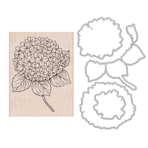 SB155 Large Hydrangea Stamp + Die Combo